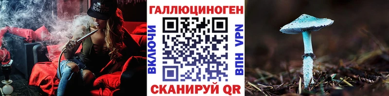 купить наркотики сайты  Мелеуз  Псилоцибиновые грибы Psilocybe 