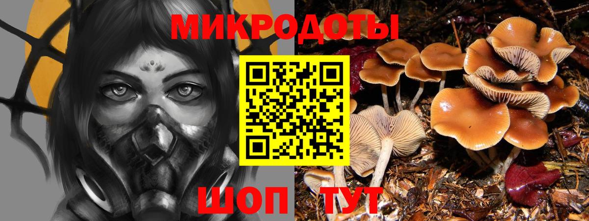Галлюциногенные грибы Psilocybine cubensis  Псилоцибиновые грибы MAGIC MUSHROOMS  Мелеуз  Вход с VPN 