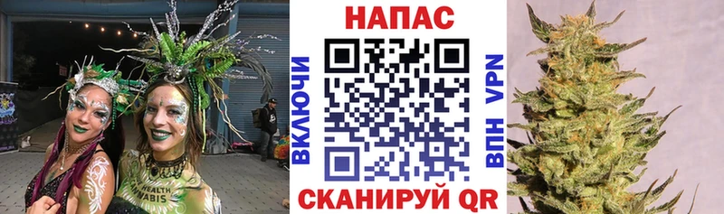 omg как войти  Мелеуз  Каннабис Amnesia 